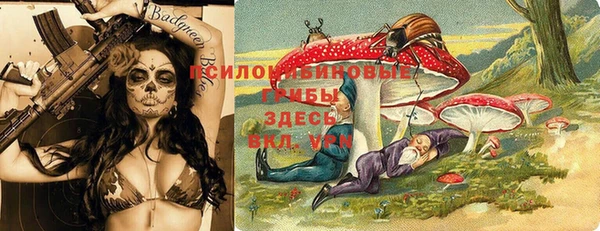 крисы Волоколамск