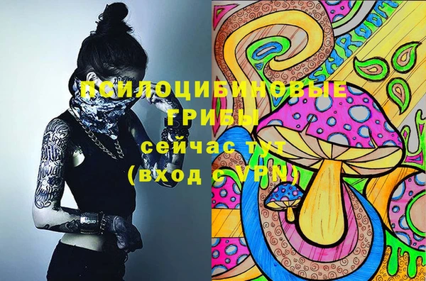 спиды Волосово