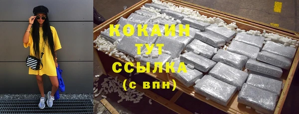мескалин Богданович