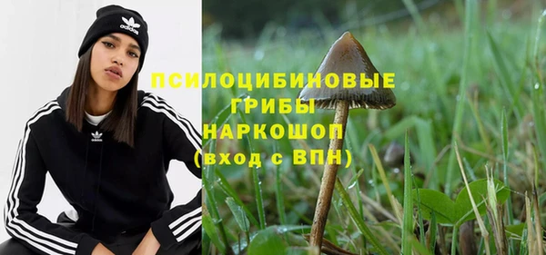 MDMA Premium VHQ Богородицк