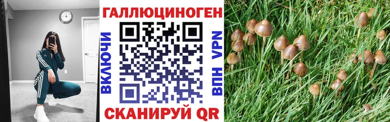 Галлюциногенные грибы Psilocybine cubensis Озёрск